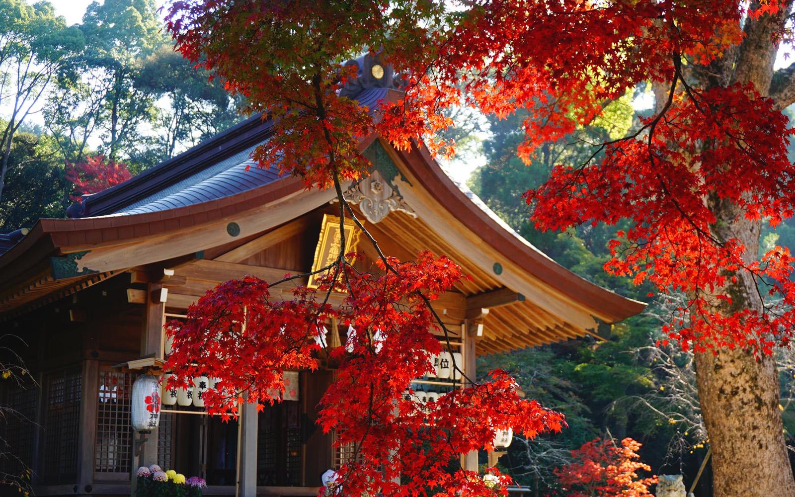 寶滿宮竈門神社