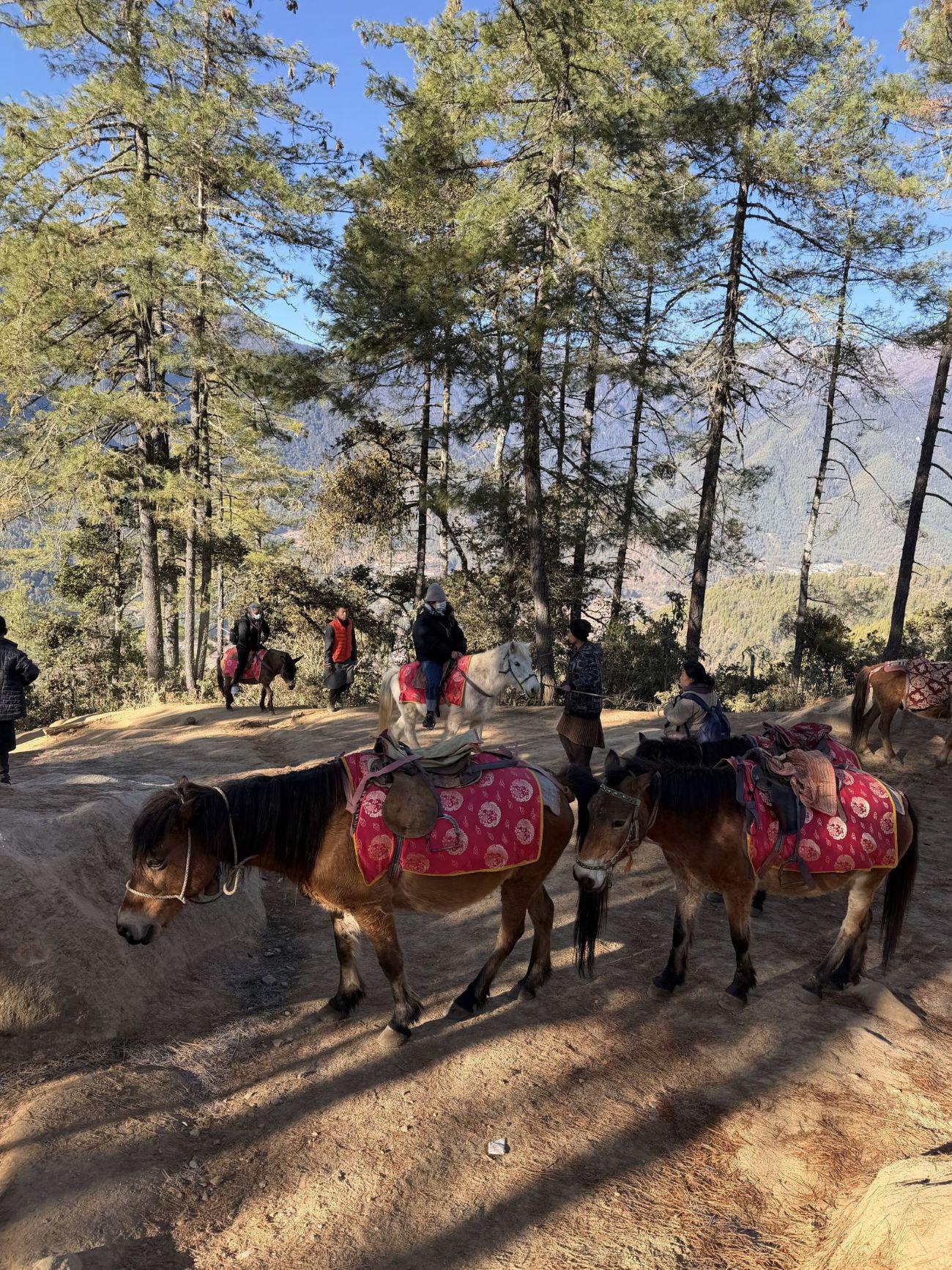 第一段｜騎馬上行（團費已包含）