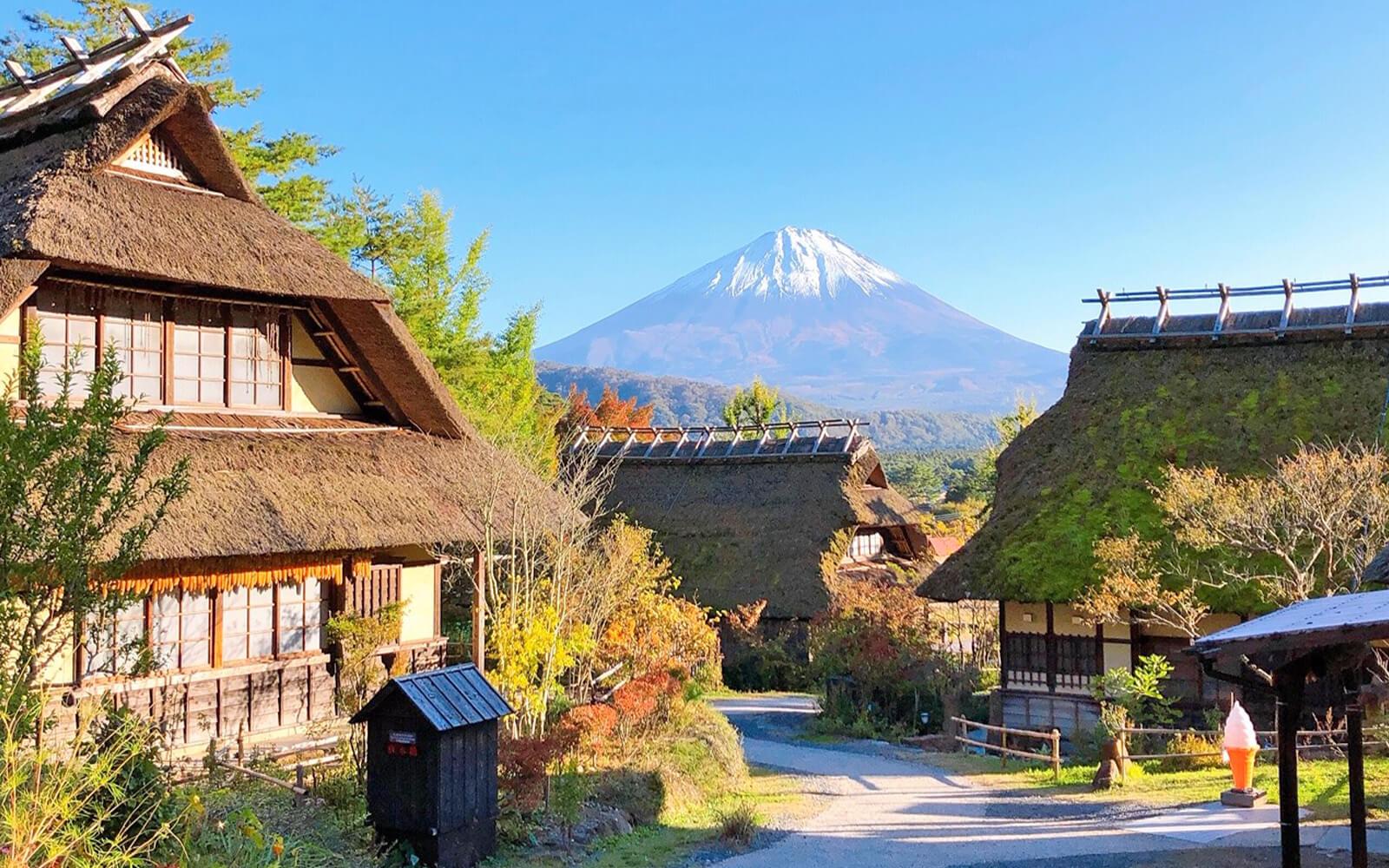 西湖療癒之里根場
