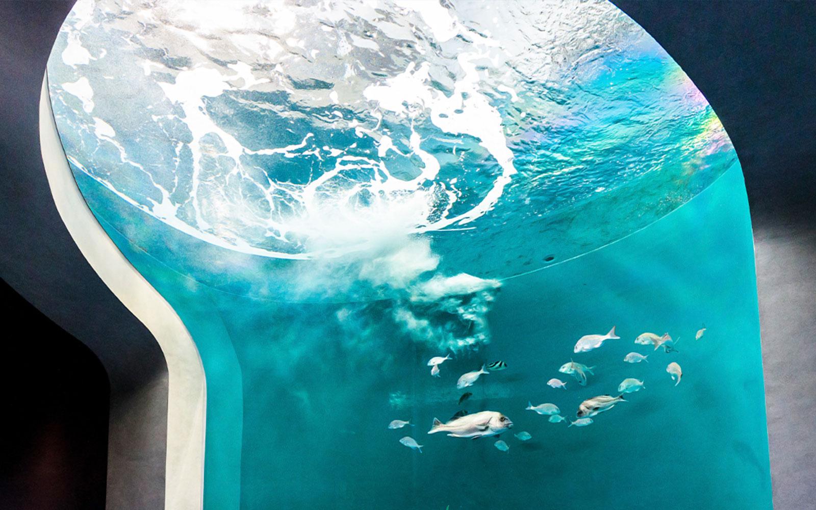 宇多津.四國水族館