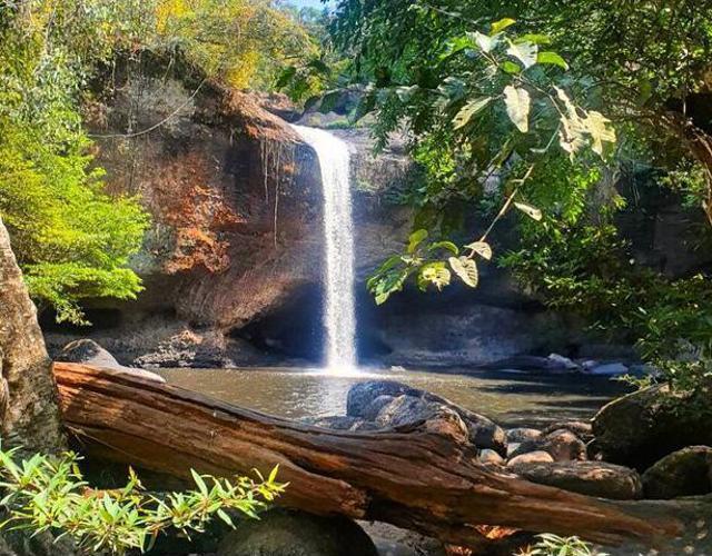 【考艾慢遊】森境林療.悠悠秘境5日.6人成行