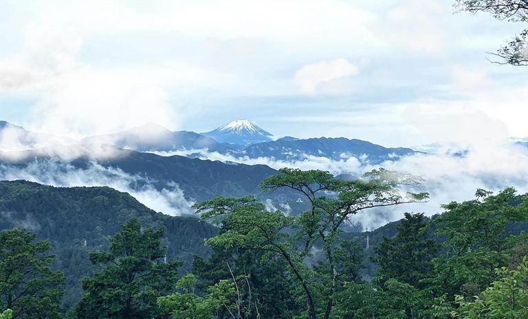 關東高尾山健走，夏季果狩5日 - 富士山•打卡•果狩•御殿場