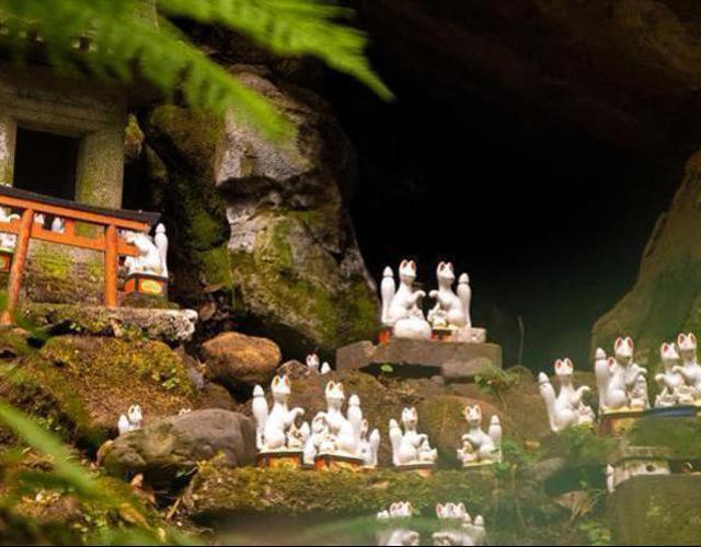 東京白狐．寵物祈福神社5日