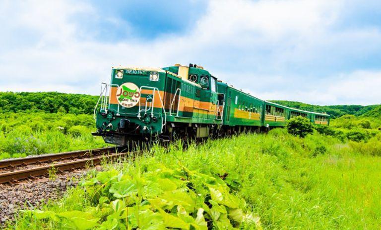 這夏北海道│夢幻自然生態5日 - 阿寒湖森林夜行．濕原慢列車．期間限定黃金花海．夢幻青池