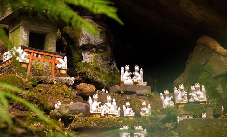 東京白狐．寵物祈福神社5日 - 專屬泡麵 DIY．白狐寵物神社．地球之谷．富岳風穴