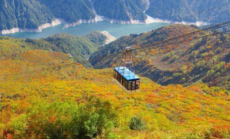 秋.絕代楓華│立山黑部 輕井澤5日 - 庄川峽遊船.山梨果狩.日本第一山葵.哆啦A夢道