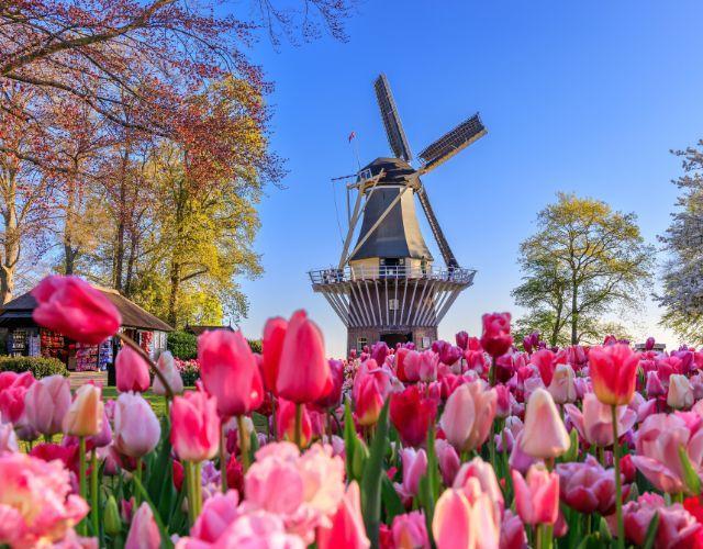 華麗歐洲|德比荷花季10日