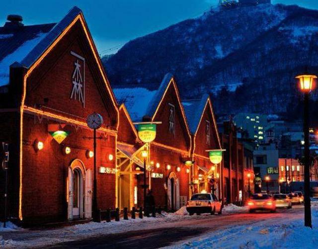 【農曆春節】北海道．函館小樽雪日冬遊5日